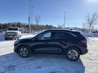 2021 Ford Escape Hybrid SEL