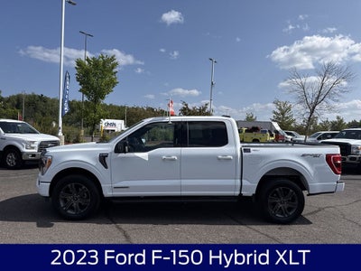2023 Ford F-150 XLT
