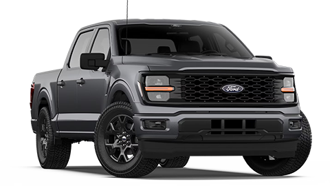 NorthStar Ford MN in Duluth MN